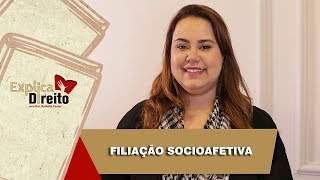 Explica Direito Filiação Socioafetiva  2019 [upl. by Aslin]