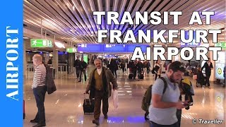 TRANSIT WALK AT FRANKFURT Airport FRA Terminal 1  Connection Flight Transfer Arriving amp Departing [upl. by Charmane]